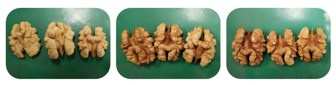 Walnut Kernel Sorting Machine Intelligent Multi-Angle Imaging Modular Design Smart Self-Learning High-Efficiency