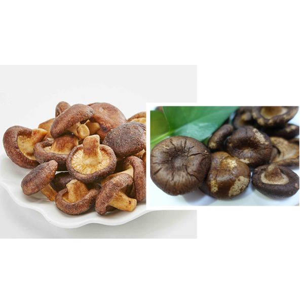 Low Temperature Continuous Vacuum Fryer For Snacks / Fruit / Vegetables / Seafood