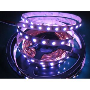 5050 RGBW LED Strip 84leds/m Series
