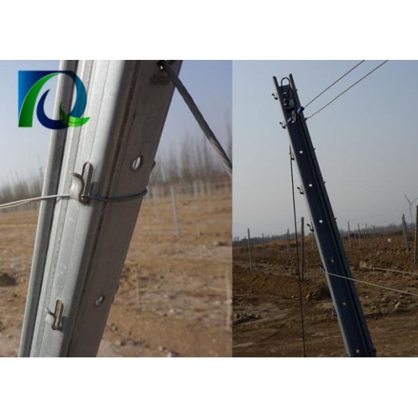 Galvanised 50x40MM Vineyard Trellis Posts For Big Wine Garden