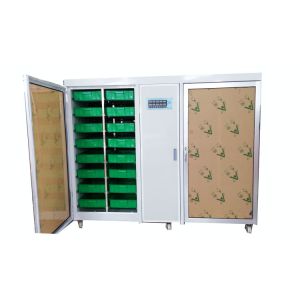 220V 380V Microgreen Barley Fodder Sprouting System 150Kg Per Day
