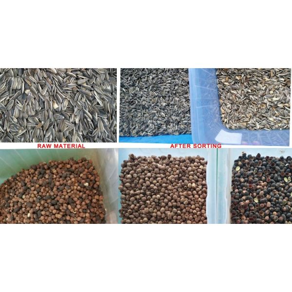 220V / 50Hz Wenyao Color Sorter Machine For Coffee Bean Cherry