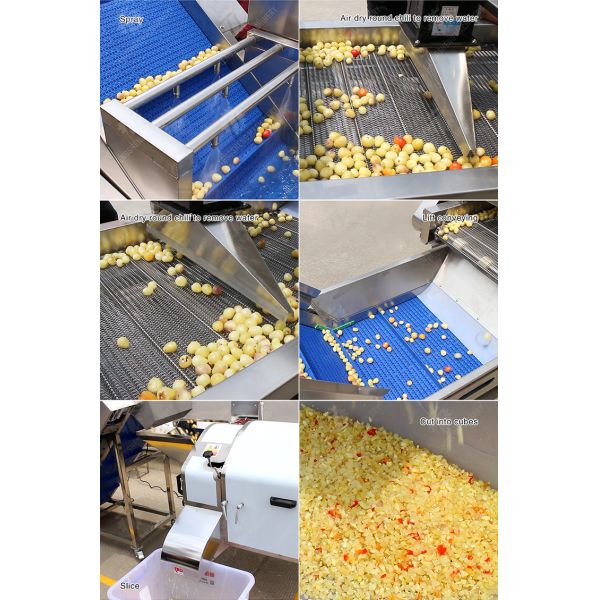 Large-scale fruit and vegetable washing,drying and cutting production line Fruit Vegetable FOOD processing production Machine