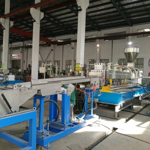 Promotion Plastic Pellet Making Machine Twin Screw Extruder