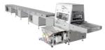 Coating Chocolate Processing Line , Chocolate Depositing Equipment High Capacity