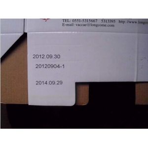 High Definition Barcode Overprinter Multilingual 800W Digital Label Printing