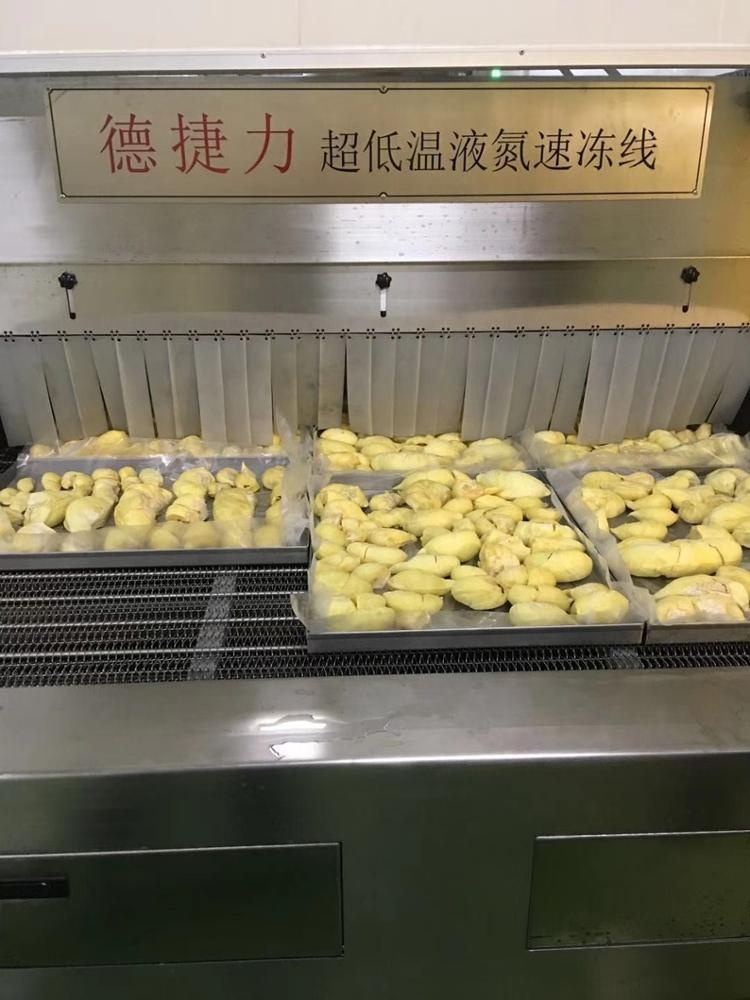 2000KG/H Mesh Belt Tunnel Freezer