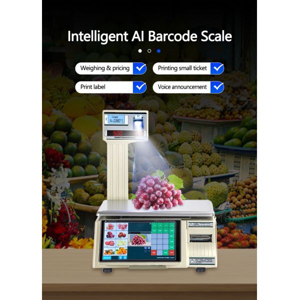 Maximum Range 30kg Intelligent Bar Code Table Scale SHW-TMF6 with 10/7 Inch Display