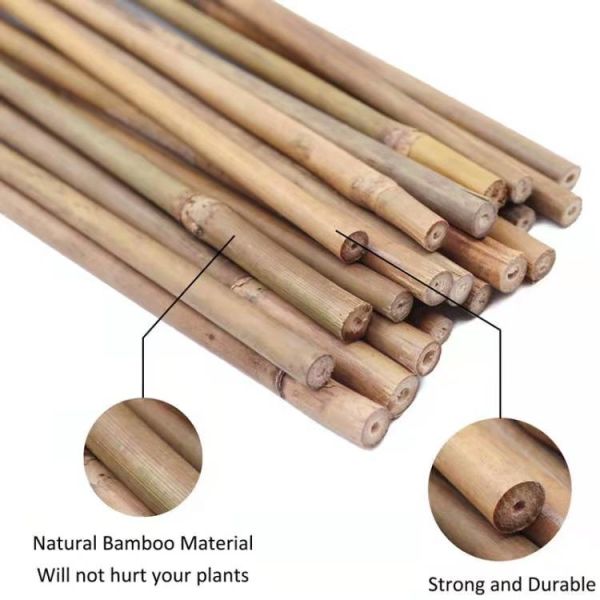 250cm Raw Bamboo Poles Bamboo Stakes For Decoration Plant