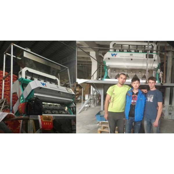 220V / 50Hz Wenyao Color Sorter Machine For Coffee Bean Cherry