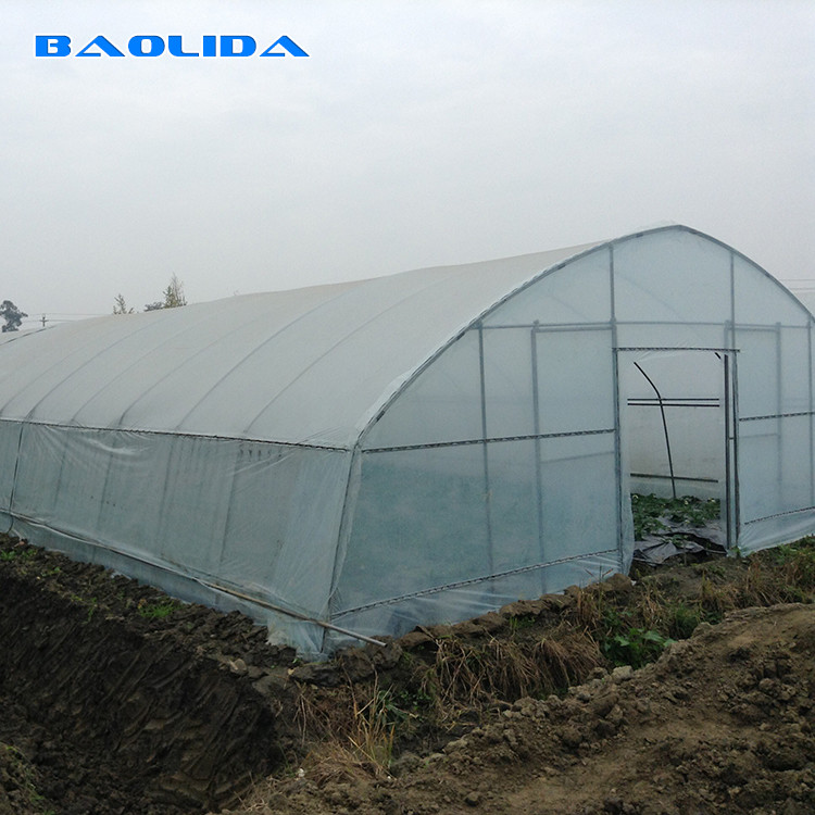 Tropical Plastic Film Cross Top Sawtooth Greenhouse Single Span Tunnel Plastic Greenhouse