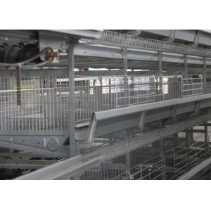 Buy cheap High Capacity Chick Rearing Equipment U - Shaped Steel Manage Easily product