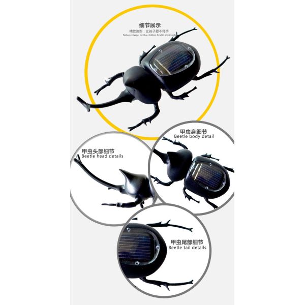 Durable Compact Solar Beetle Educational Toys For Kids Learning