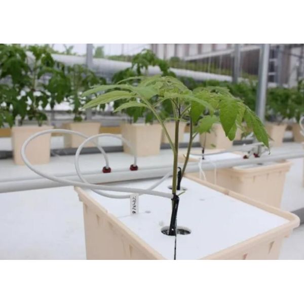 High Humidity Vertical Farming Hydroponic Container Greenhouse For Vegetables