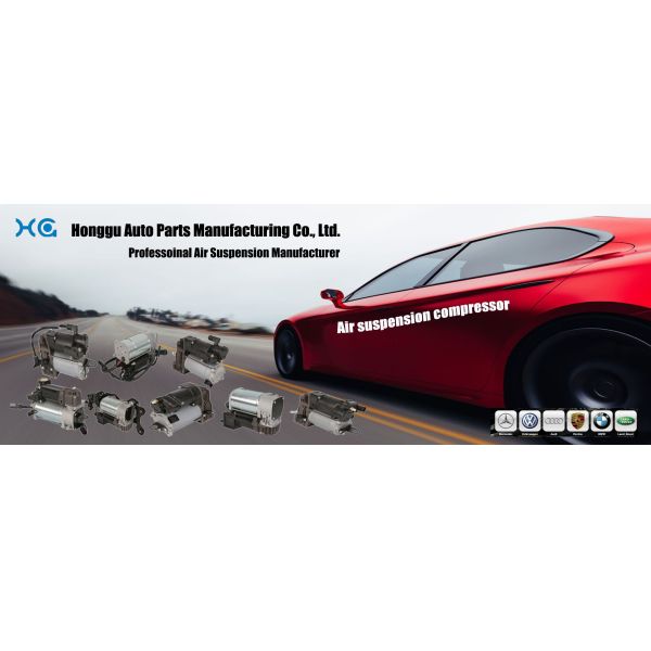 TS16949 Audi Air Suspension Shock Absorber Fit A8 D3 4E Rear Left 4E0616001E