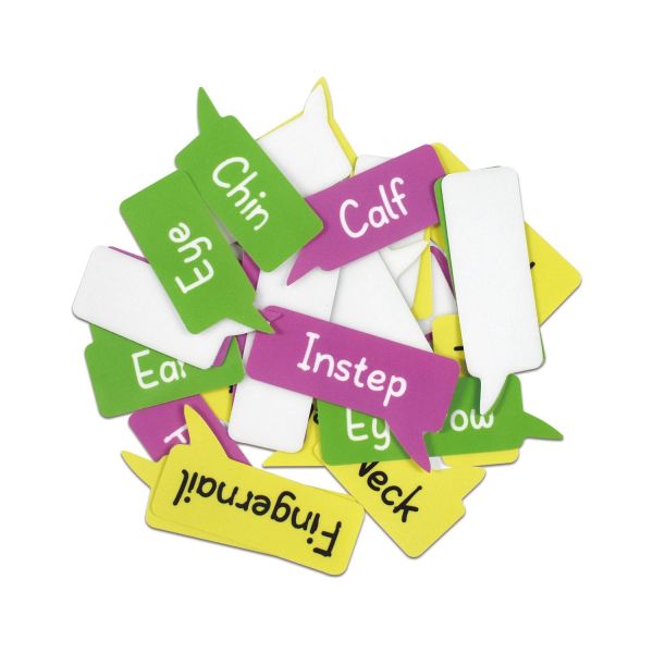 Removable Body Learning Custom Dry Erase Poster Board 48x36" With Magic Stickers