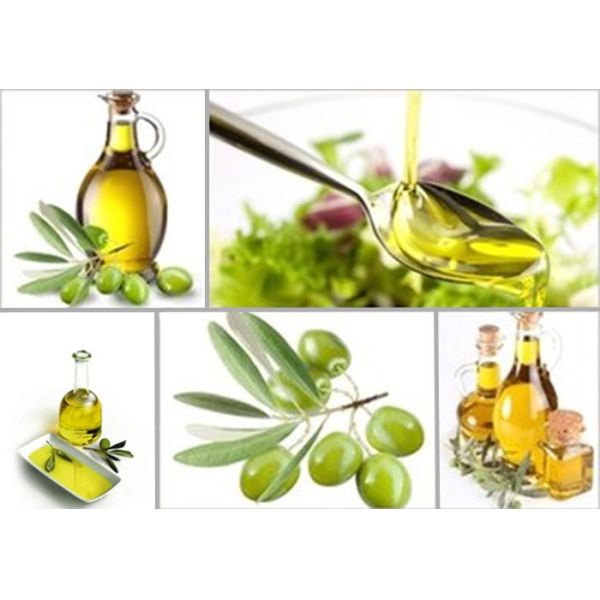 Stainless Steel Horizontal Pressure Filter / Hermetic Pressure Plate Filter