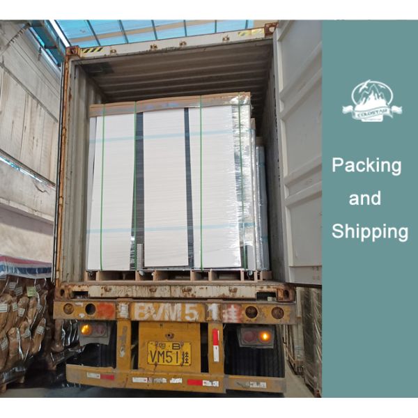 Supermarket Single Door Vertical Refrigerated Display Freezer