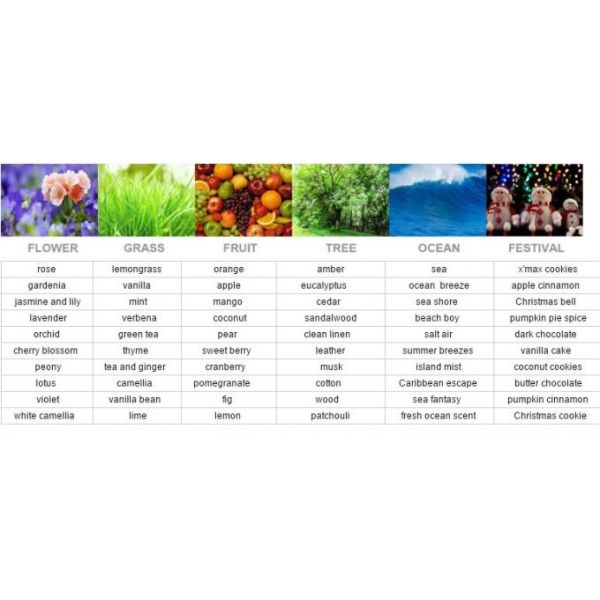 Long Lasting Scented Oil Reed Diffuser