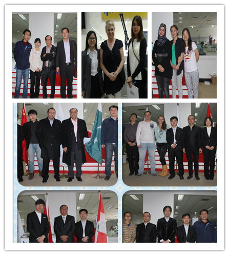 Medical CE aproved 4 handles slimming technology cool shaping cryolipolyse