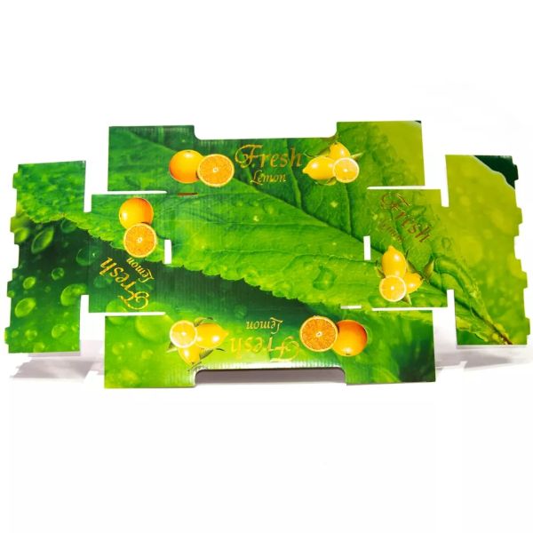 OEM Folding Cardboard Fruit And Veg Boxes Customized Size