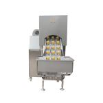 Fully Automatic Cost-Effective Onion Skin Remove Machine Restaurant