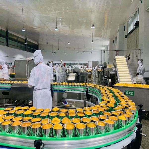 820g 850g Canned Yellow Peaches In Light Heavy Syrup