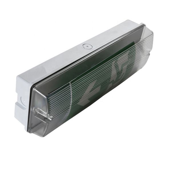 3W LED Emergency Light 6000K Waterproof Wall Mounted