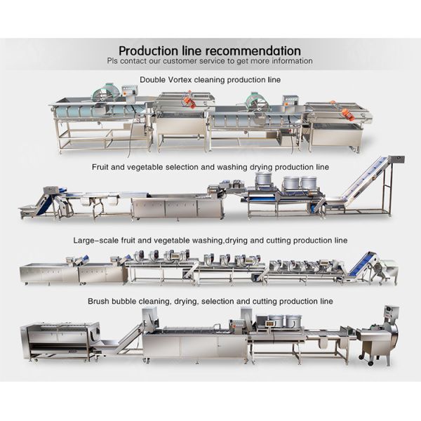vegetable drying equipment Fruit and vegetable selection washing and drying production line Fruit Vegetable FOOD processing production Machine fruit