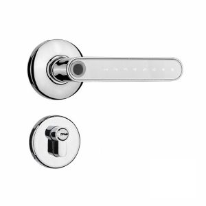 F2 Smart Fingerprint Handle Locks