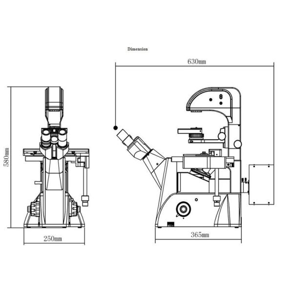 Laboratory Biology Epi-Fluorescence Microscope 100X - 400X A16.0206