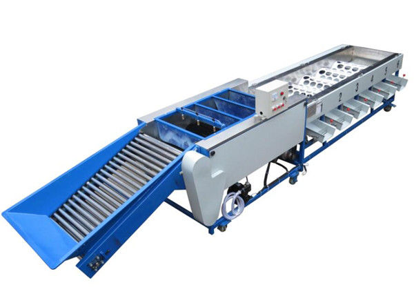 orange cleaning waxing sorting machine, orange grading machine, orange sorter