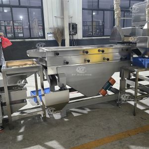 500kg/h Nut Chopping Machine for Peanut Cashew Pistachio Processing
