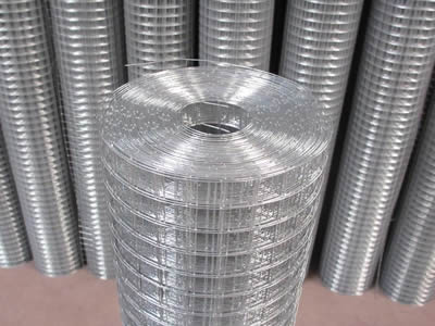 Galvanized Welded Wire Mesh