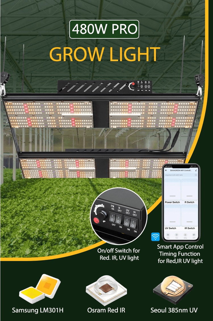 CE Rohs Osram SSL SAMSUNG LM301H 3500k Greenhouse Grow Lamps