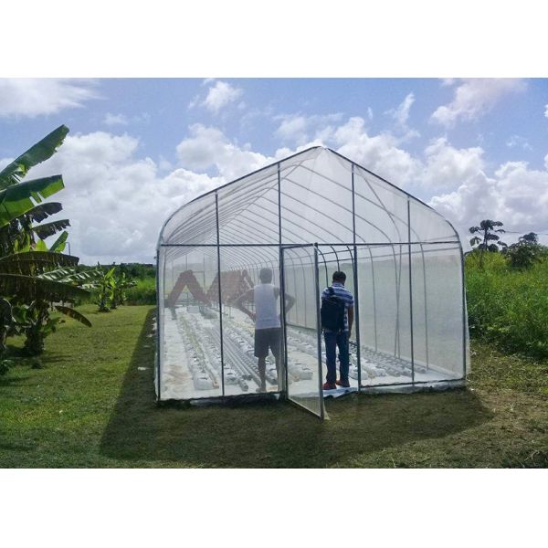 UV Protection Small Polycarbonate Greenhouse Mini Tunnel Greenhouse With Rust