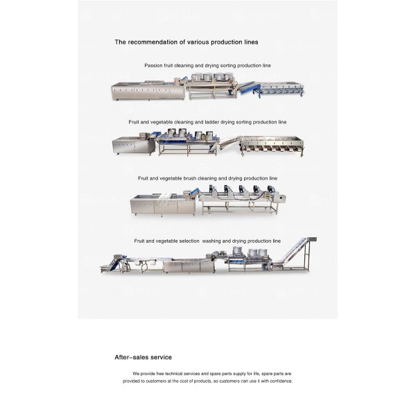 Stainless Steel Orange Extractor Machine Commercial Electric Fruit Juicer