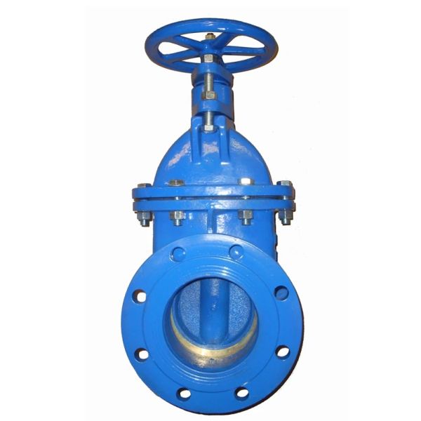 BS3464 PN10 GG25 cast iron gate valve