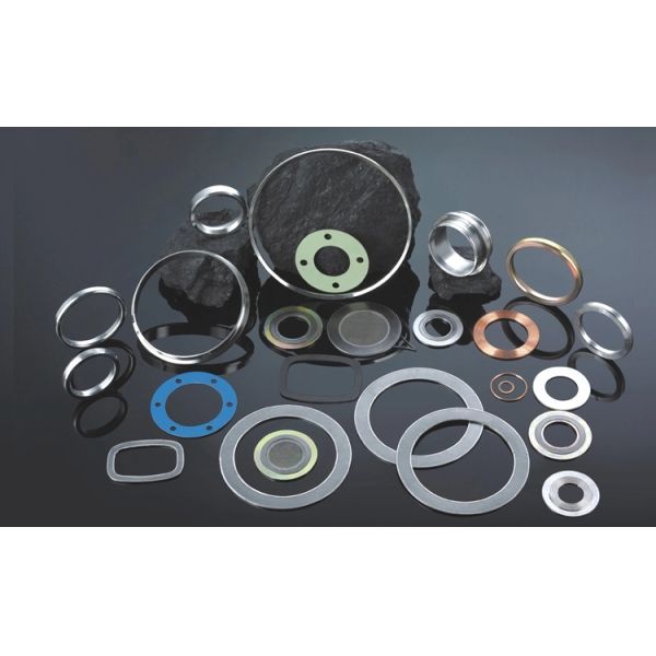 ASME B16.20 O RING Gasket