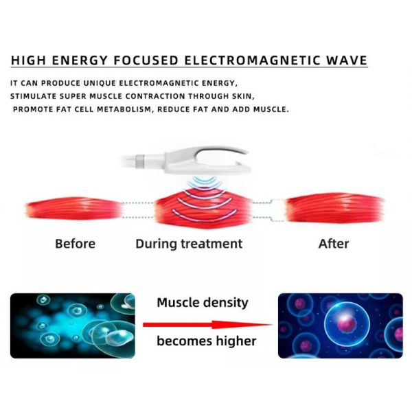 Body Sculpting Hi Emt Machine Equipment Portable Sculpting Electo Magenetic Body Slimmingt