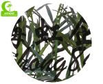 All Season Height 210cm Artificial Tropical Tree With Pot