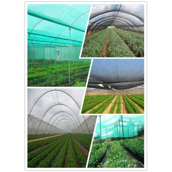 HDPE Agriculture Sun Shade Netting 70% 90% For Green House