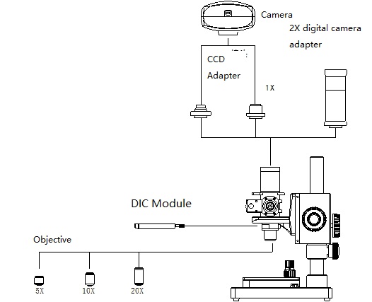 Differential Interference Contrast Microscope Working Principle