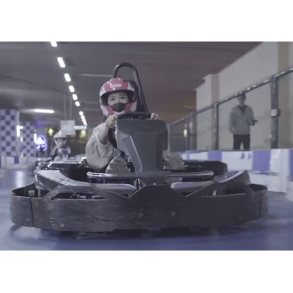 CE 4000W Dual Disc Brakes Performance Go Kart Junior Racing With Differential