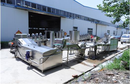 380v Automatic Frozen French Fries Making Machine Production Line For Factory