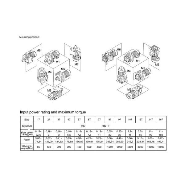 RF Series Transmission Worm Helical Bevel Gearbox Reducer Electric Motor