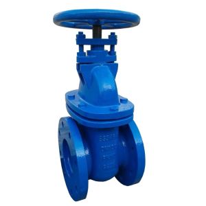 BS3464 PN10 GG25 cast iron gate valve
