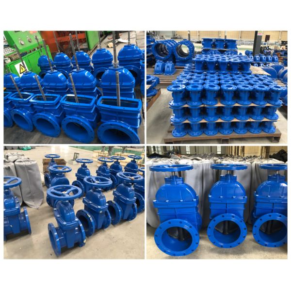 Flanged Cast Iron Rising Stem Sluice Gate Valve 8 Inch 200mm PN16 Manual Type