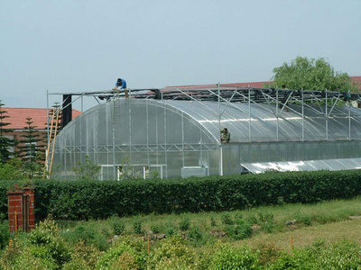 Buy cheap White / Transparent Commercial Outdoor Greenhouse Transmittance Rate &gt;80% product