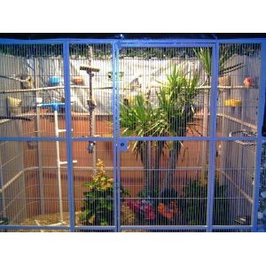 Buy cheap zoo aviary mesh weld mesh and flexible rope mesh product